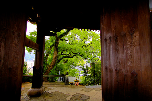 聖福寺