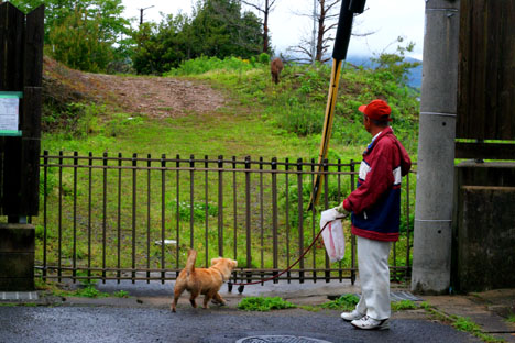 イノ君