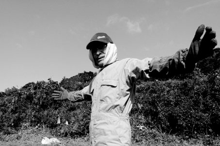 ド・ロ様の畑