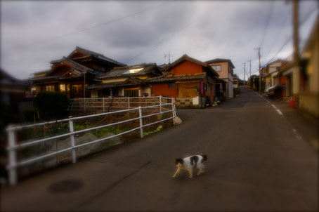 樫山