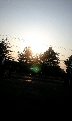 090625_1747~0001.jpg
