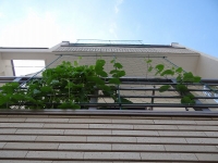 今日の画像