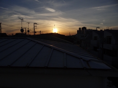今日の画像