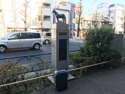 今日の画像