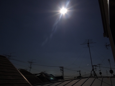 今日の画像