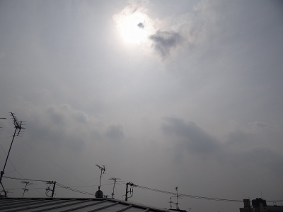 今日の画像