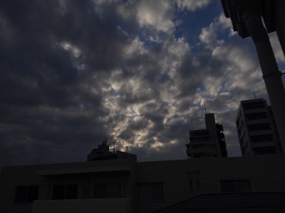 今日の画像