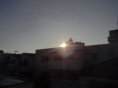 今日の画像