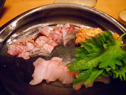 IMGP0336.JPG
