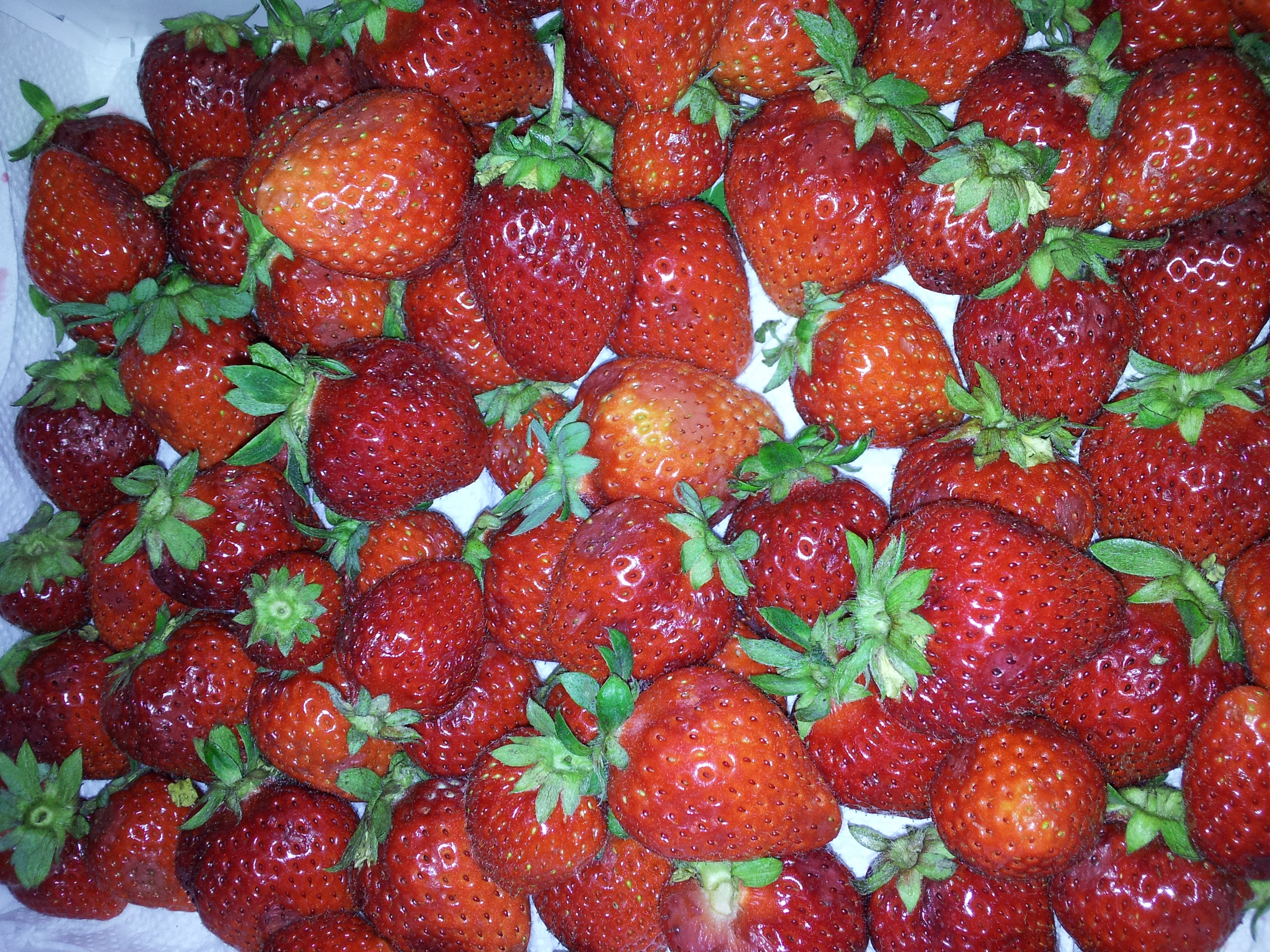20120521_092828.jpg