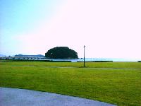 竹島