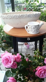 P1000438.jpg