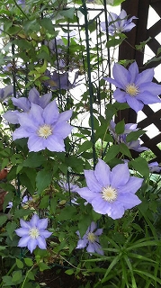 P1000463.jpg