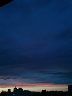 131115_1642~01.jpg