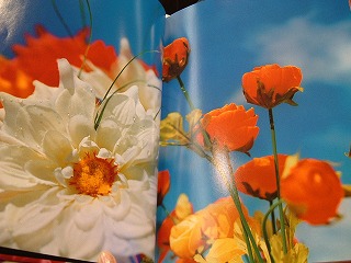 永遠の花