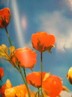 永遠の花