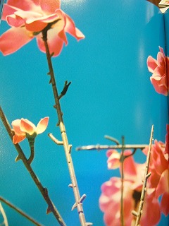永遠の花