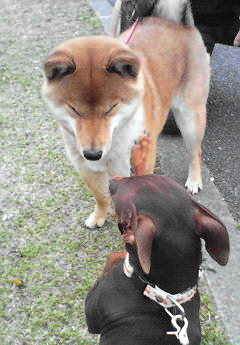 れんちゃんと診察待ち