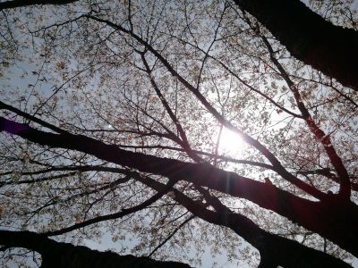 ��ϳ����