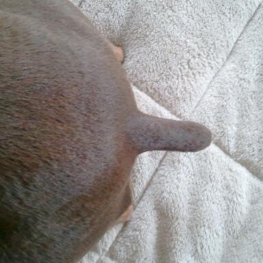 �����å�