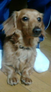 20080207215406.jpg