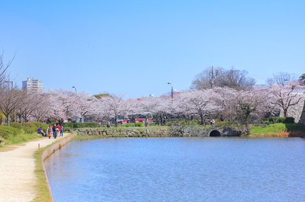 IMG_0460_1_2_tonemapped.jpg