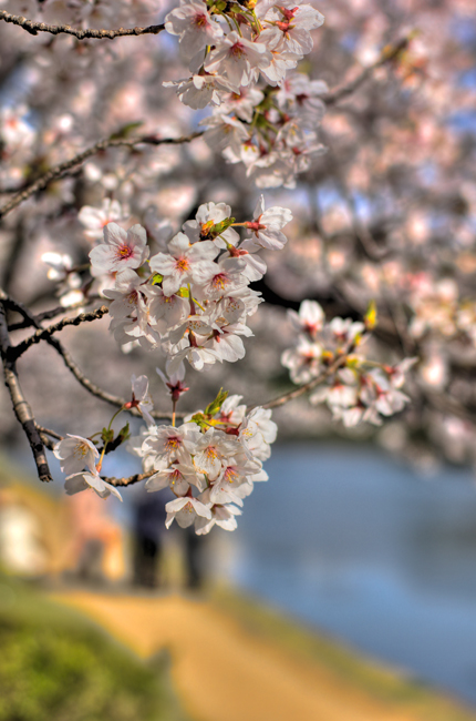 IMG_0724_5_6_tonemapped.jpg