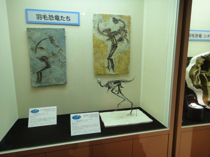 DSC01886.JPG