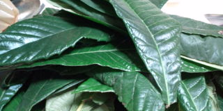 20100919225627.jpg