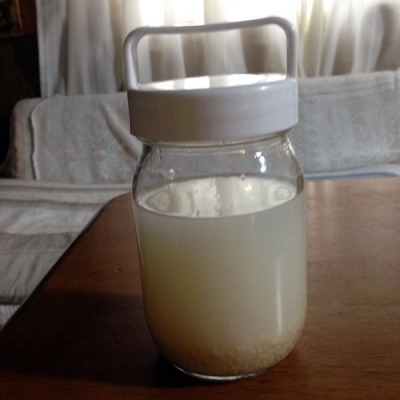 yeast_03