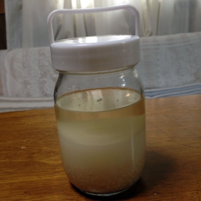 yeast_04