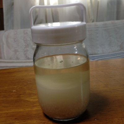 yeast_05