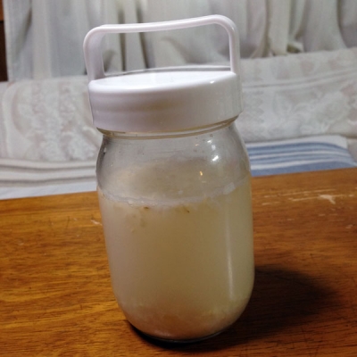yeast_08