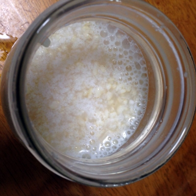yeast_09
