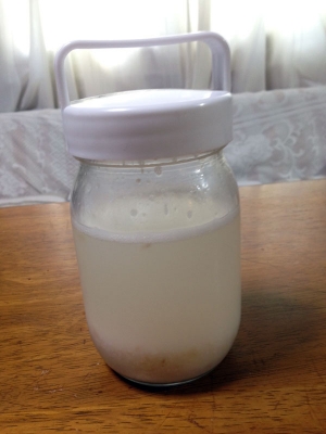yeast_11