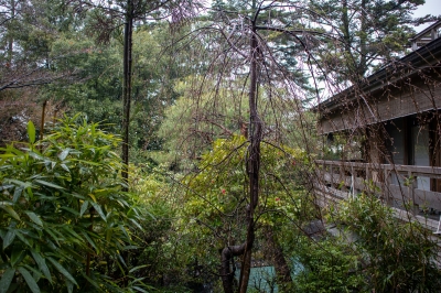 hana-2