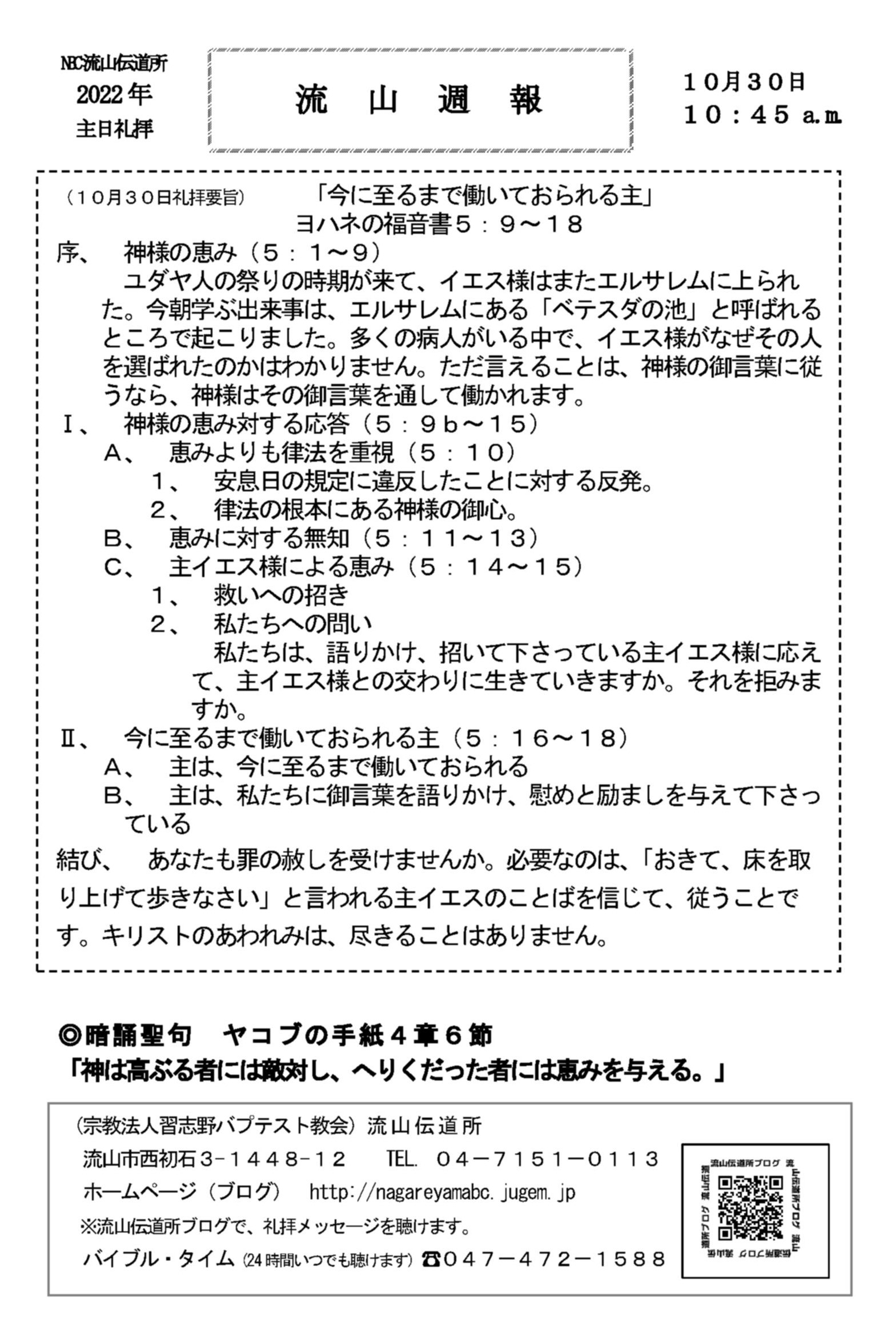 key様専用 ひの 直営店に限定 その他 | sinpafcampinasejaguariuna.org.br