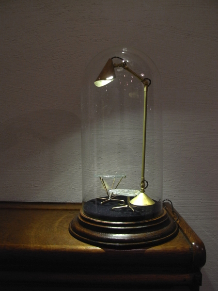 Glass Dome Display Case & Lamp