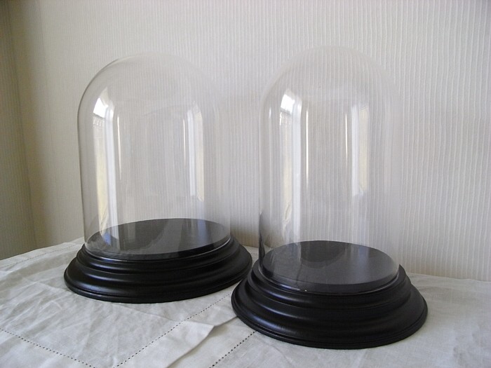 glass dome display case wood base