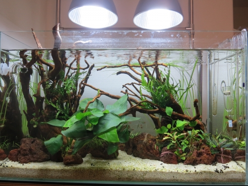植栽前.JPG