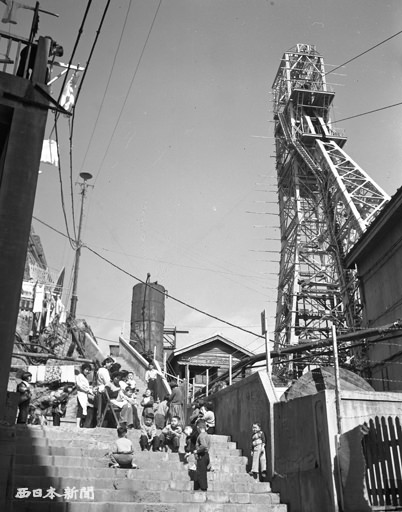 pic1.jpg