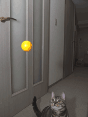 メタボ対策無限ピンポン