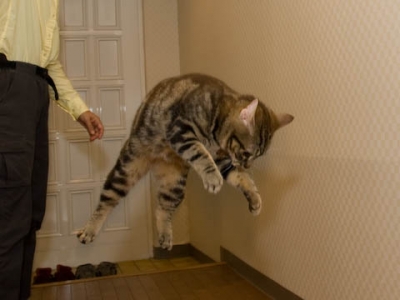 ジャンプ!