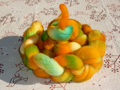 P1020184.JPG