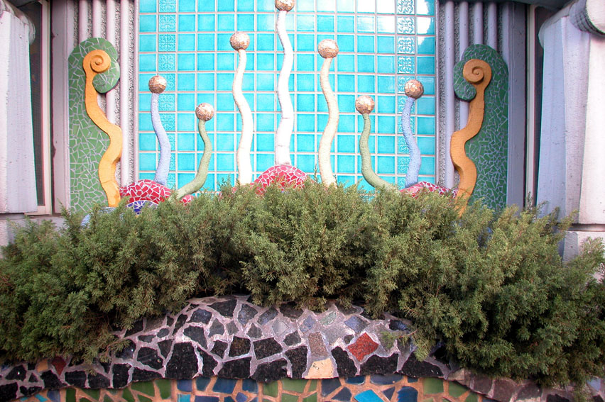 DSCN5274.jpg