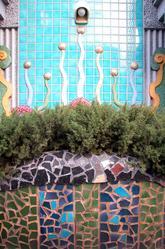 DSCN5275.jpg