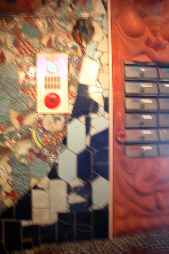 DSCN5342.jpg