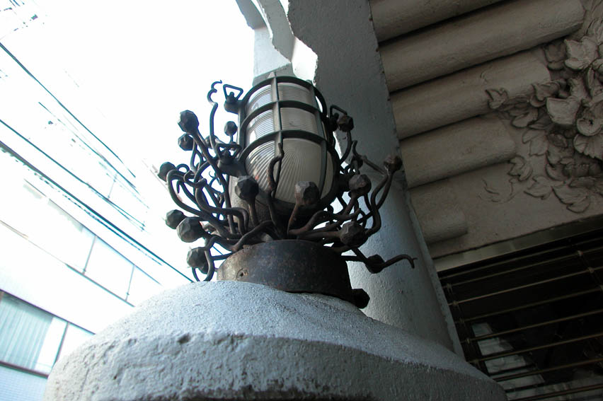 DSCN5366.jpg