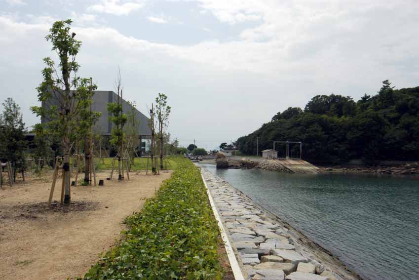 IMGP8317a.jpg