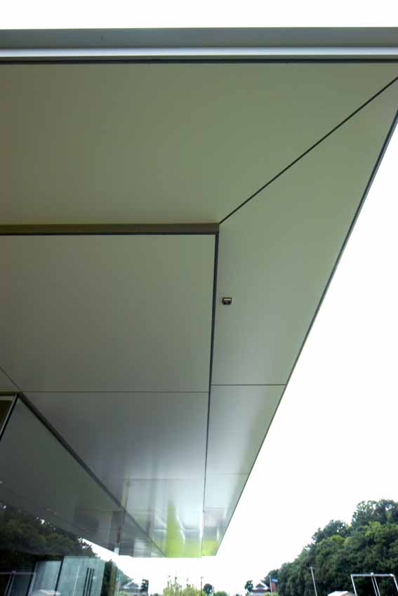 IMGP8374a.jpg